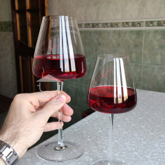 Преміальний набір келихів для червоного вина 450 мл Style на високій ніжці з богемського скла