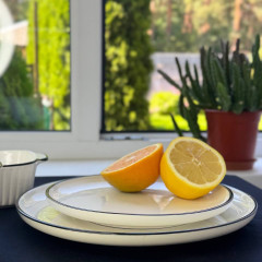 Тарелка обеденная круглая 26 см Velora, керамика, белая с черной окантовкой